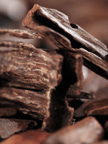 Natural Wooden Elements Representing Premium Ingredients And Earthy Components In Keratin Volume Boost Conditioner