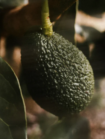 Keratin Intensive Rescue Hair Mask | Professional Strength Repair Treatment for Damaged Hair